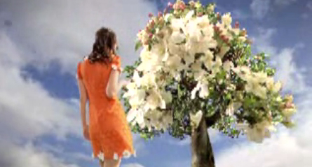 Imagen destacada de noticia: La Casa Azul y Beef en un anuncio televisivo